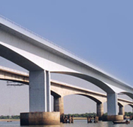 Narmada River Bridge
